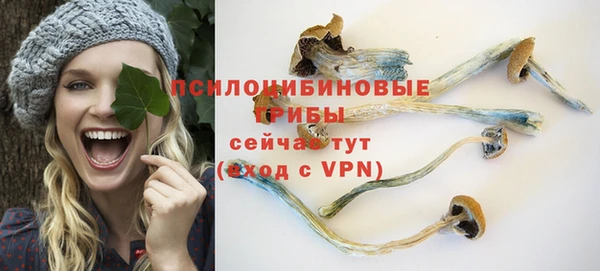 эйфоретик Алексин