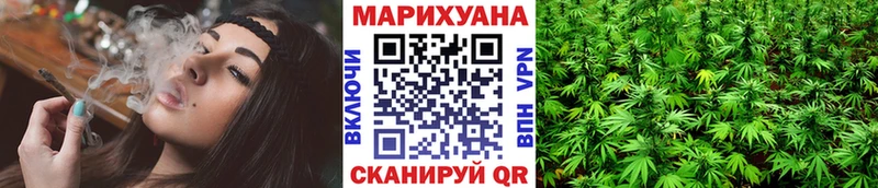 Каннабис SATIVA & INDICA Талица