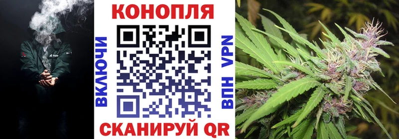 Конопля планчик  Купить где  Талица 